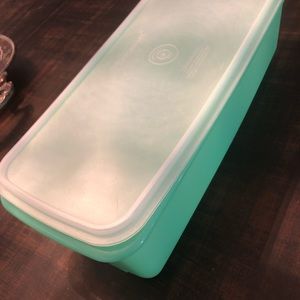 Vintage Celery Tupperware Container